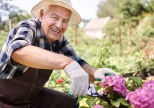 A Culpepper Place resident man smiles and gardens among purple flowers outside.